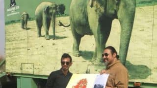 Yuzvendra Chahal visits elephant conservation centre in Mathura
